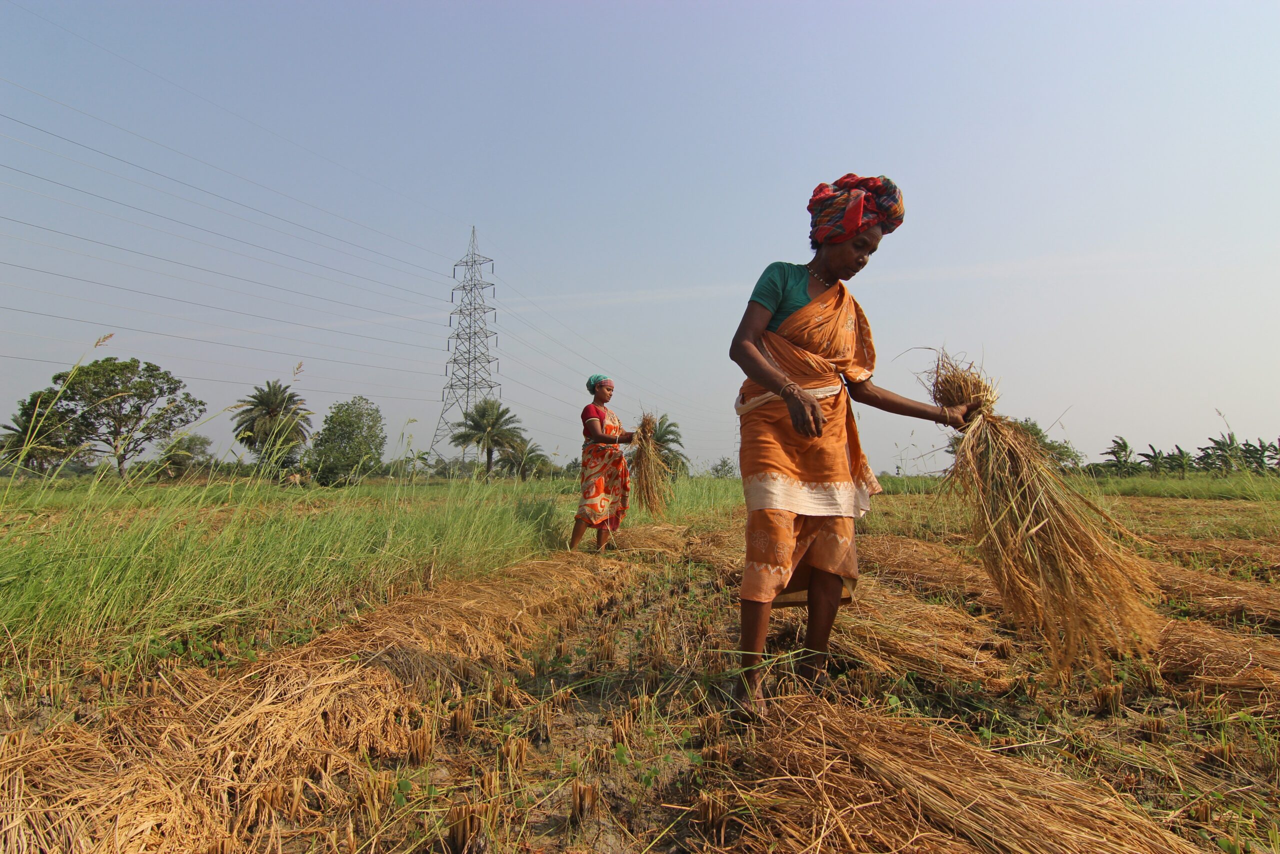 female farmers on a field | Economic Empowerment & Entrepreneurship | Doorways